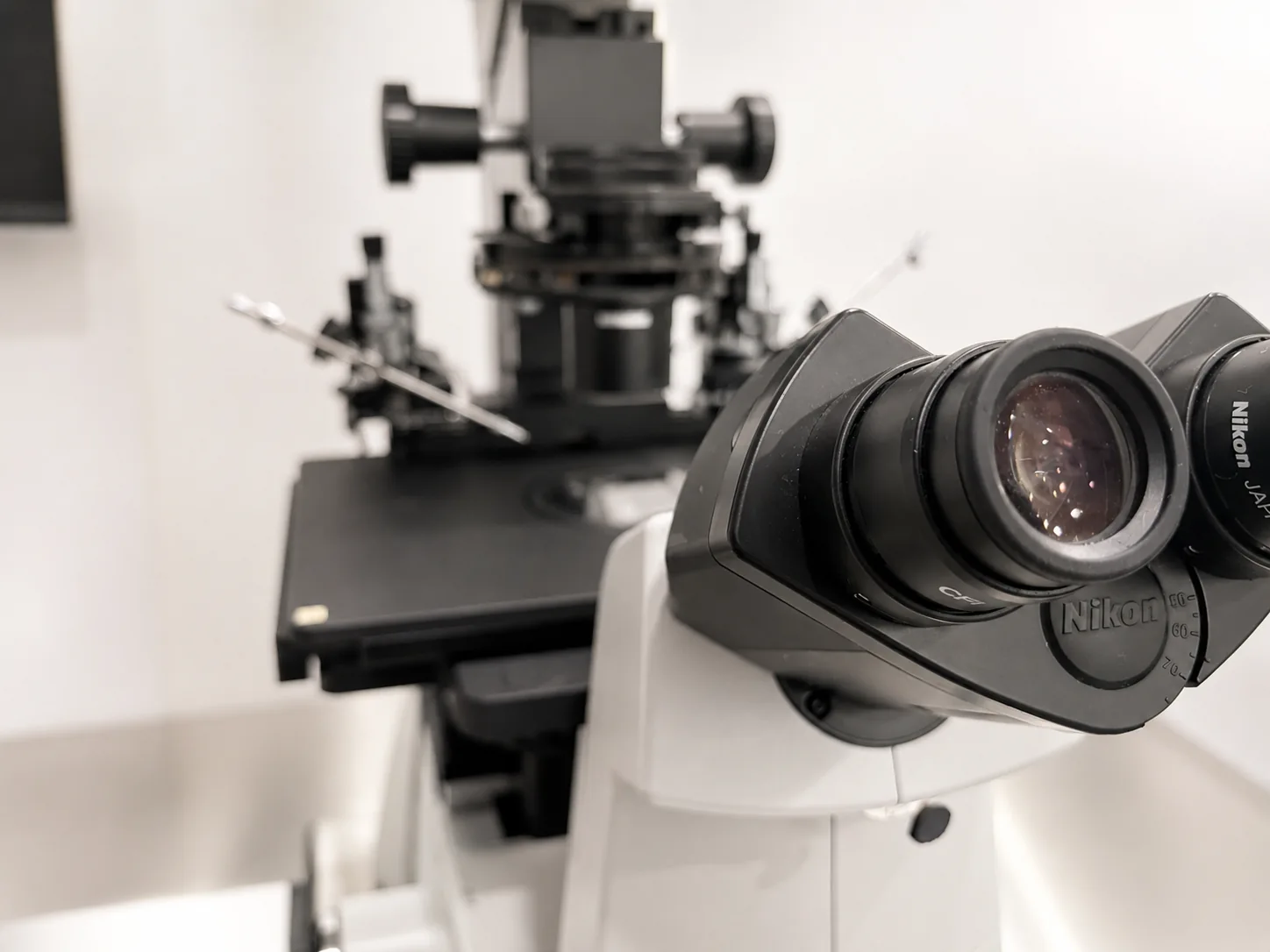 Instalaciones de CEMPI para pruebas genéticas preimplantacionales (pgt)